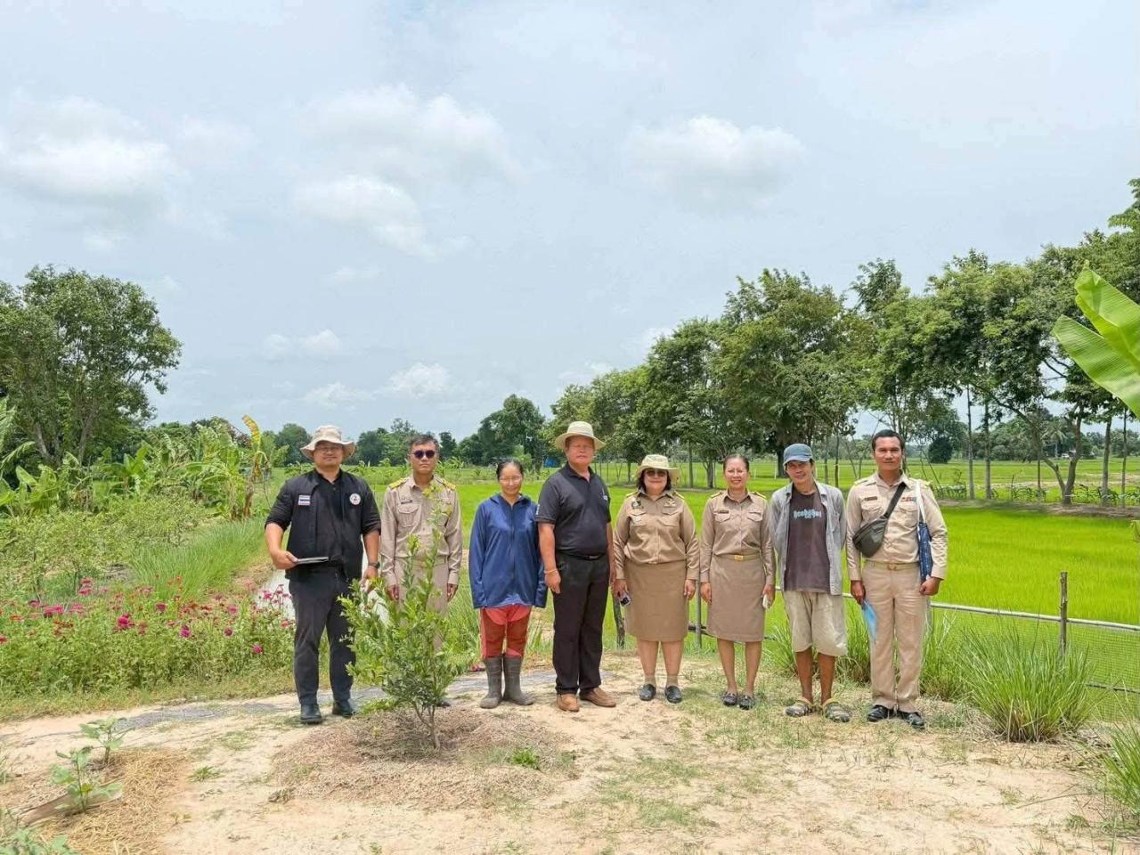 ภาพประกอบที่ 12