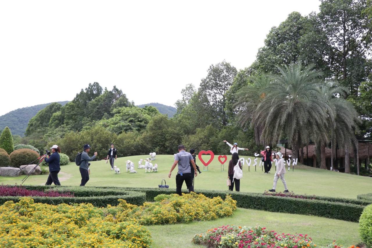 ภาพประกอบที่ 21