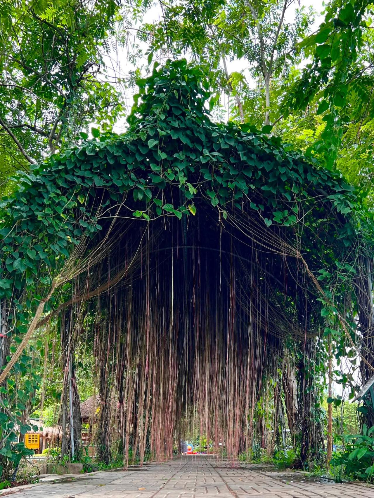 ภาพประกอบที่ 53