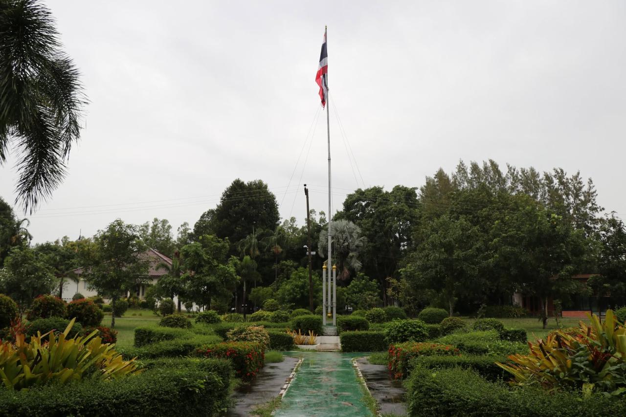 ภาพประกอบที่ 15
