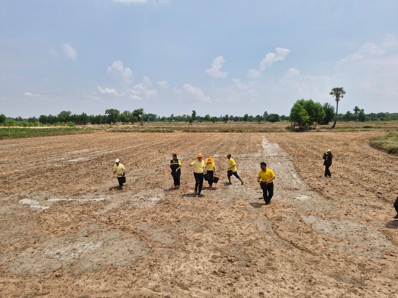 ภาพประกอบที่ 6