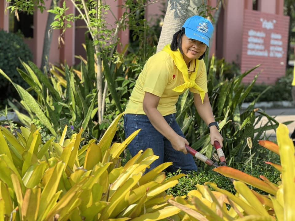 ภาพประกอบที่ 20