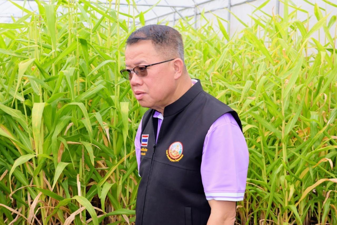 ภาพประกอบที่ 14