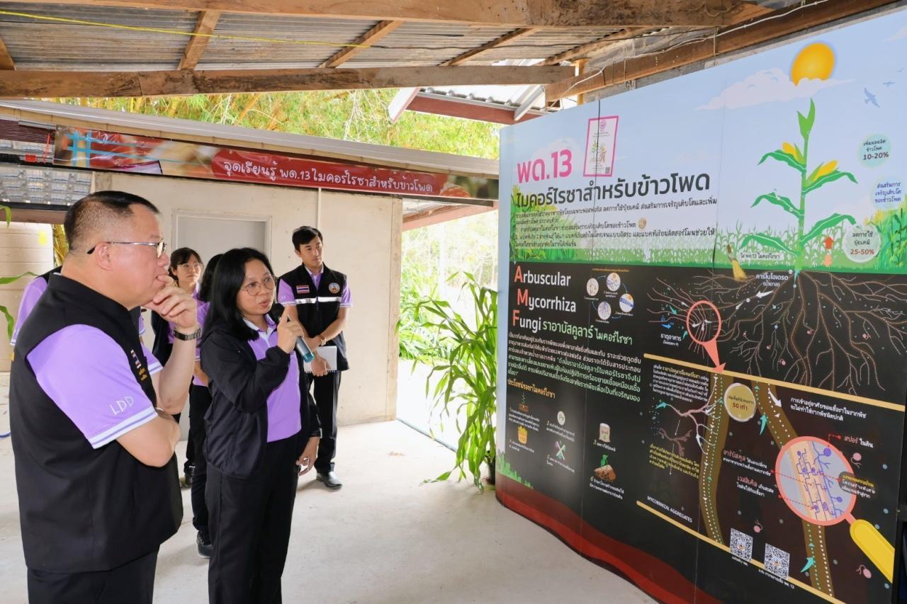 ภาพประกอบที่ 13