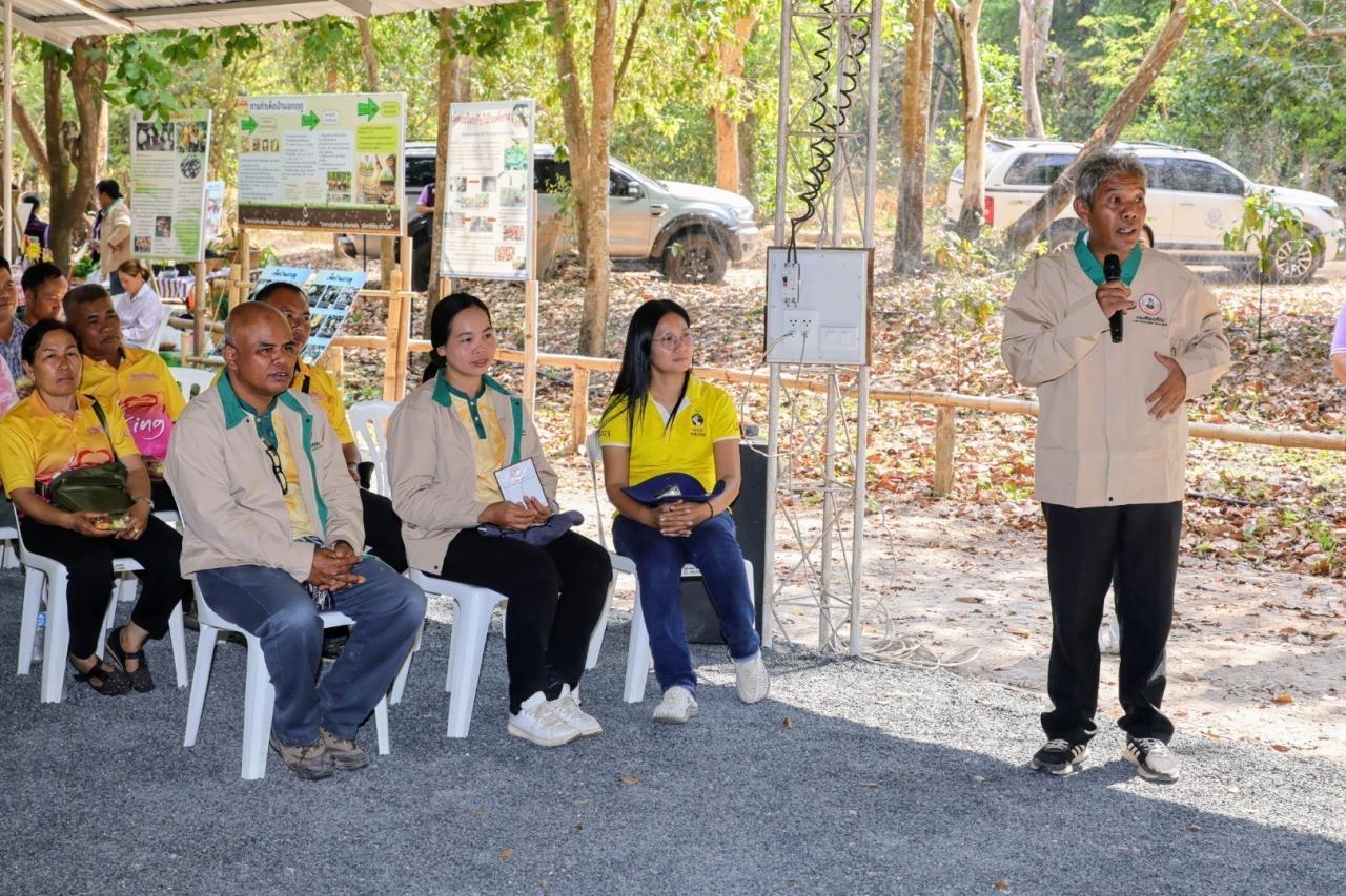 ภาพประกอบที่ 11