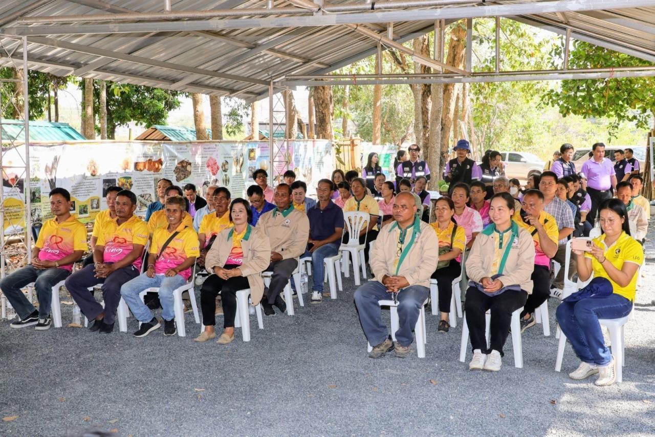 ภาพประกอบที่ 10