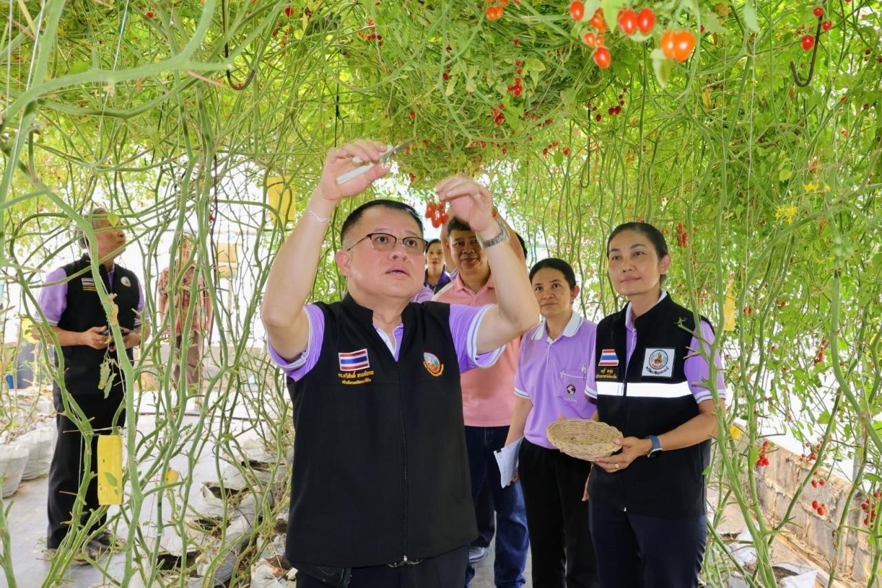 ภาพประกอบที่ 7