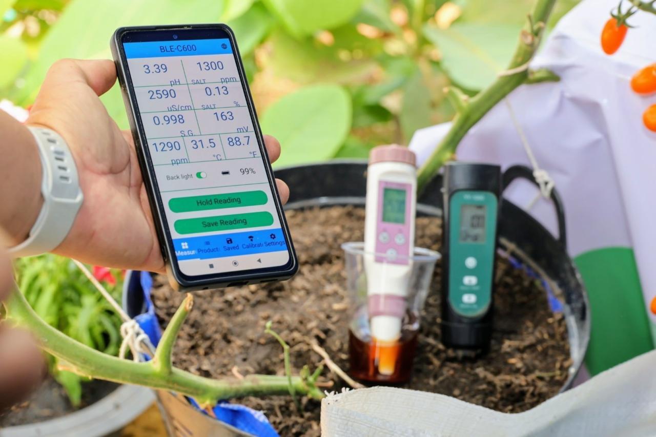 ภาพประกอบที่ 12