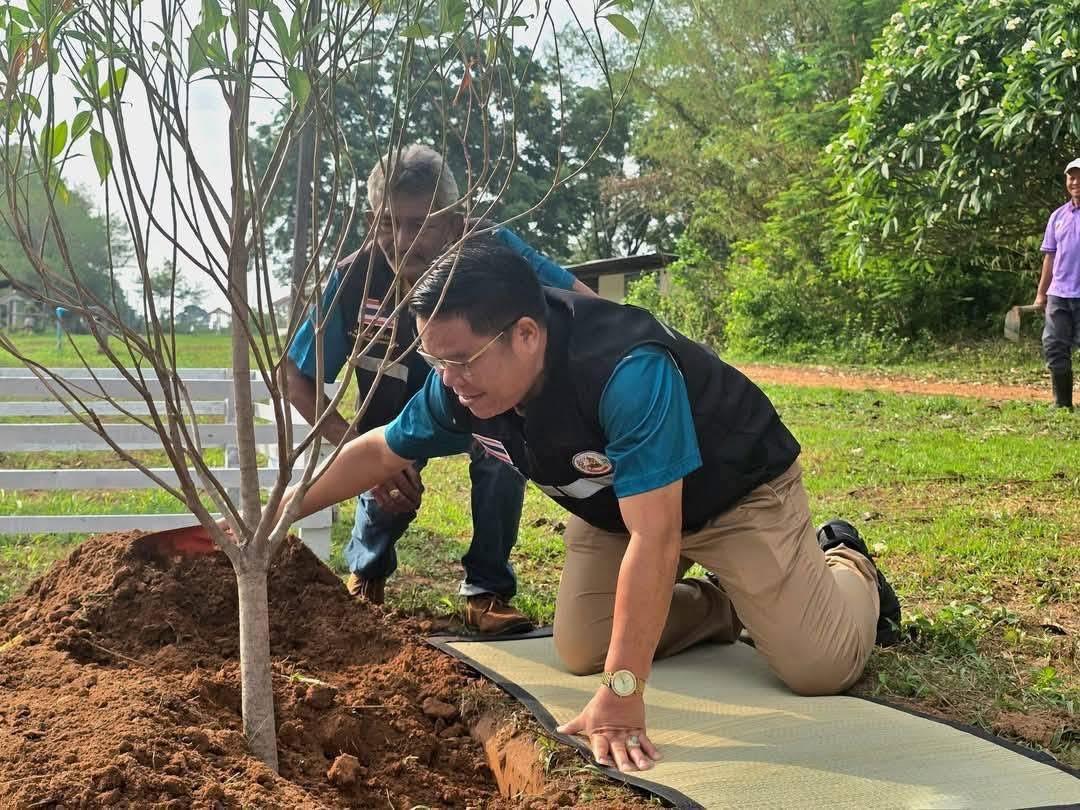 ภาพประกอบที่ 9