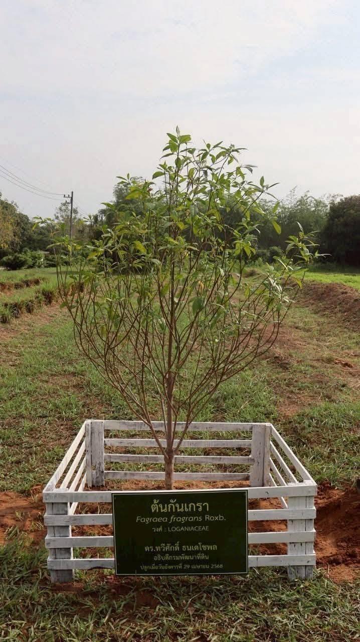 ภาพประกอบที่ 12