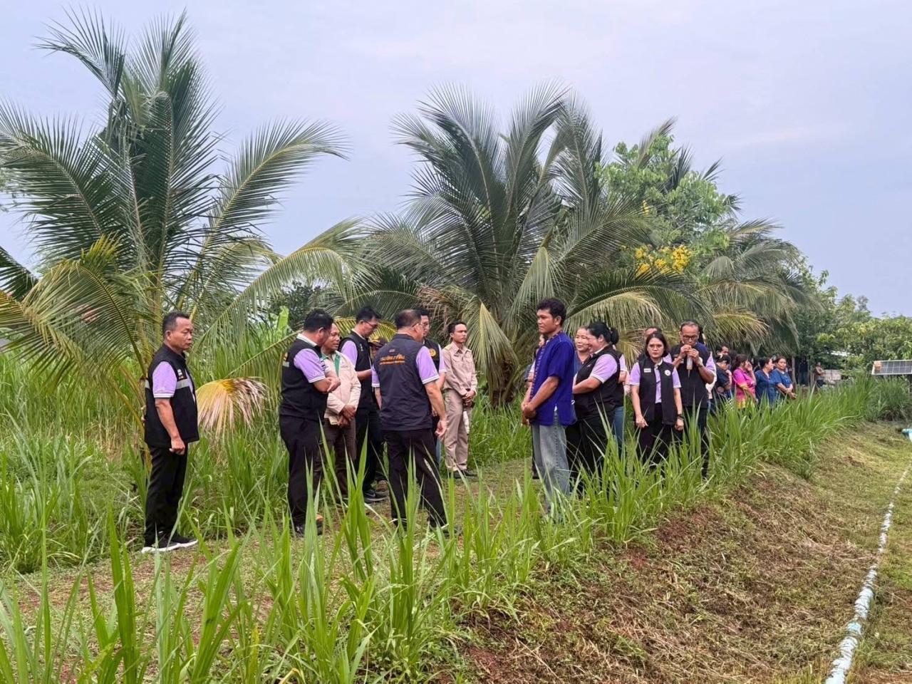 ภาพประกอบที่ 7