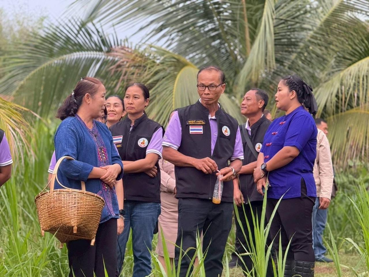 ภาพประกอบที่ 14