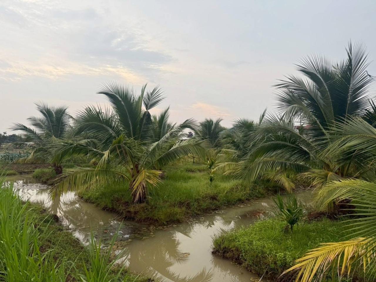 ภาพประกอบที่ 17