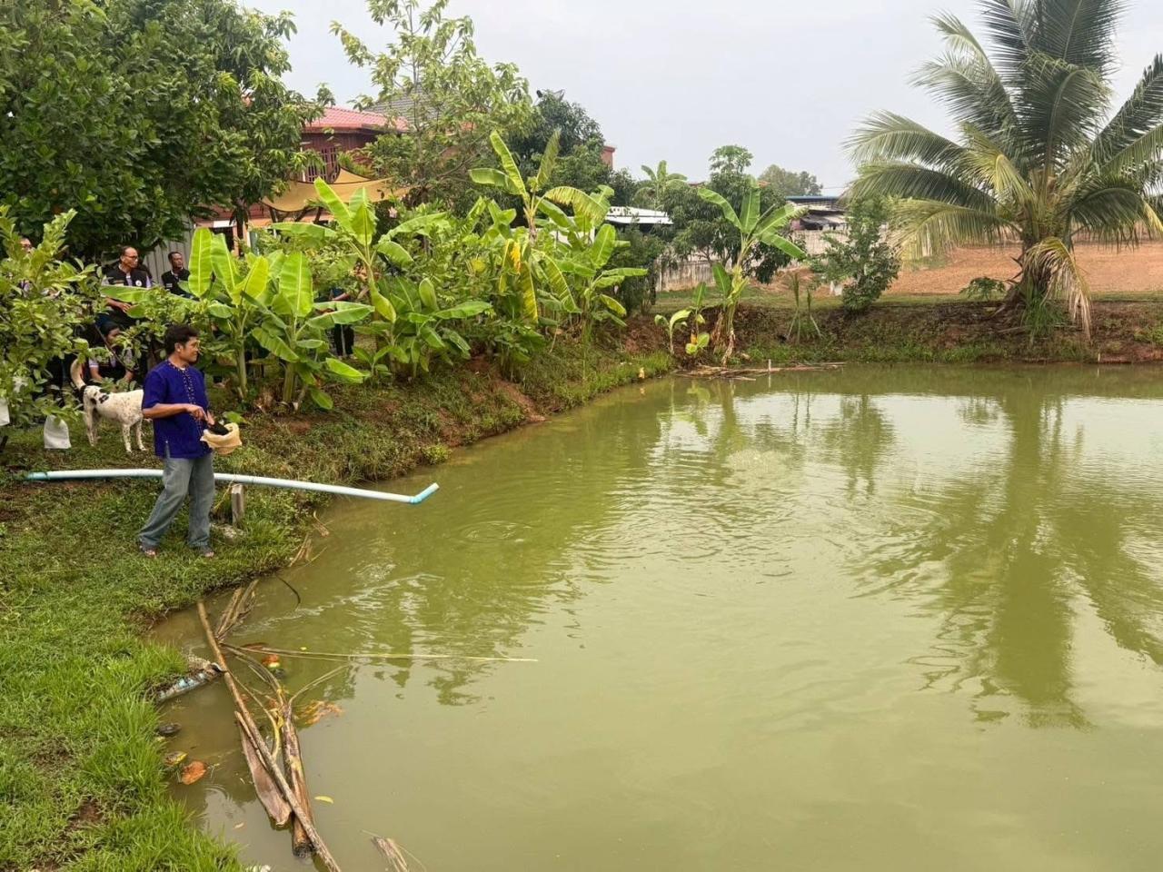 ภาพประกอบที่ 18