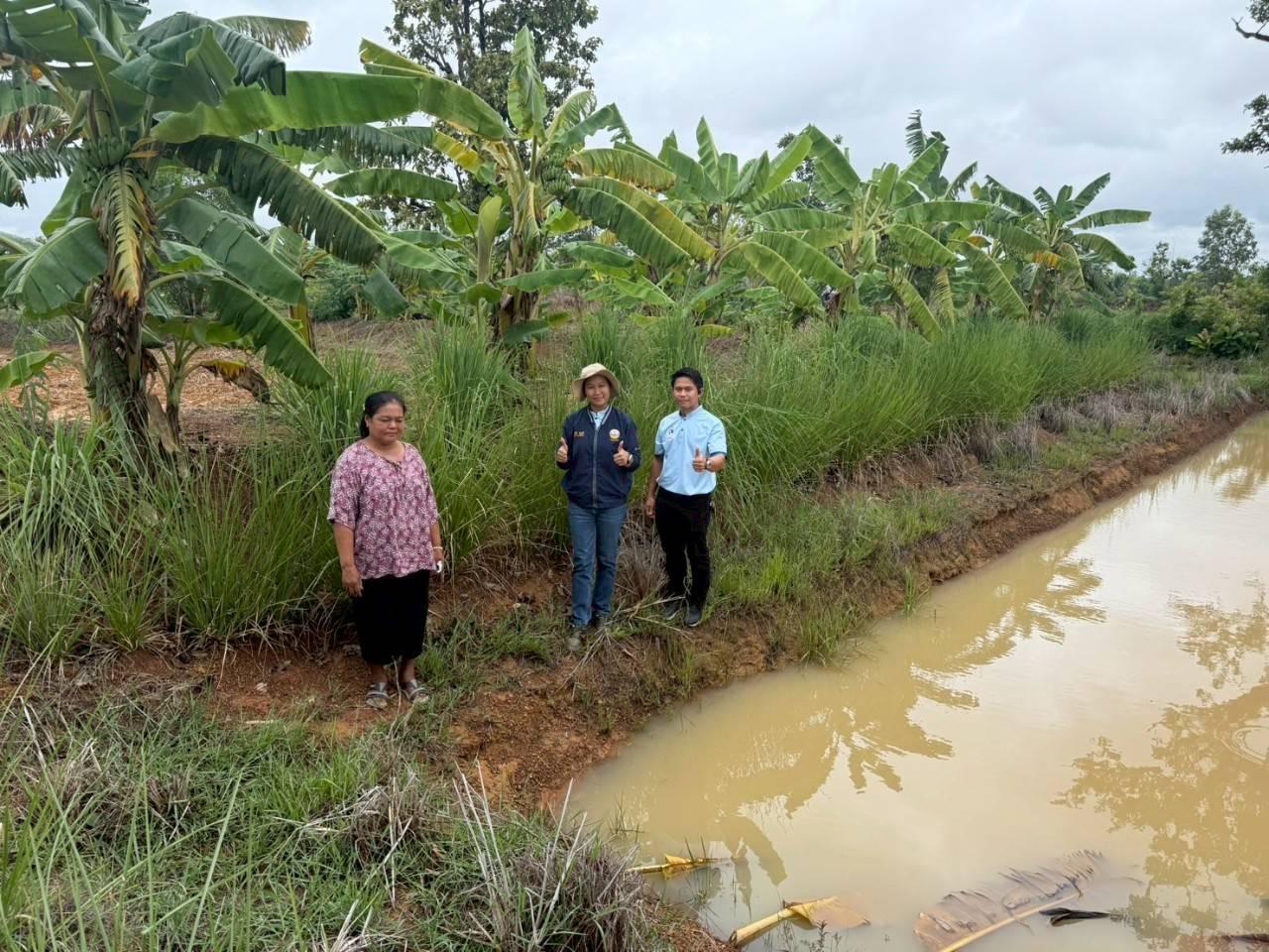 ภาพประกอบที่ 7