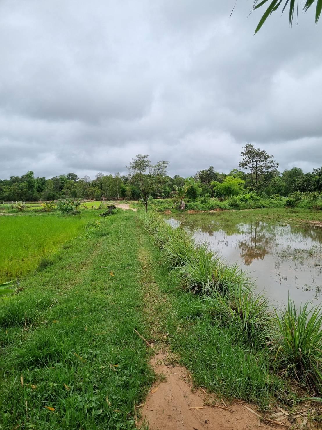 ภาพประกอบที่ 8