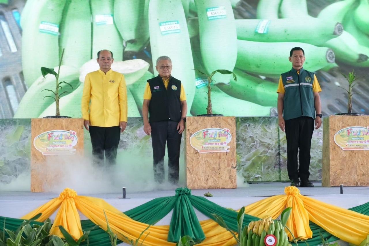 ภาพประกอบที่ 6