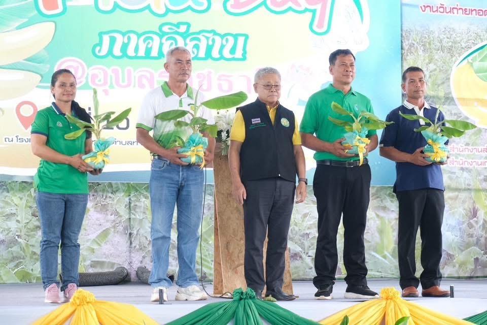 ภาพประกอบที่ 7