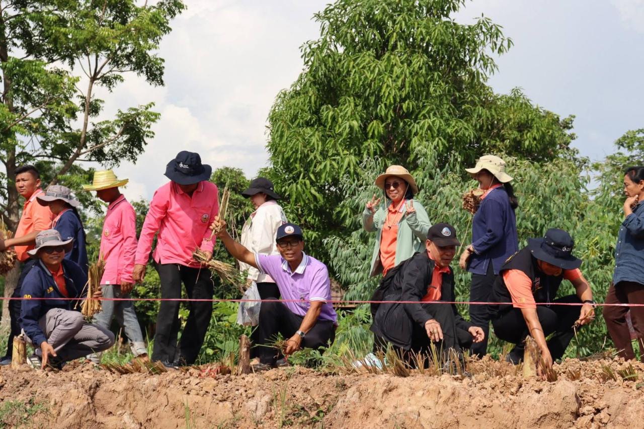 ภาพประกอบที่ 7