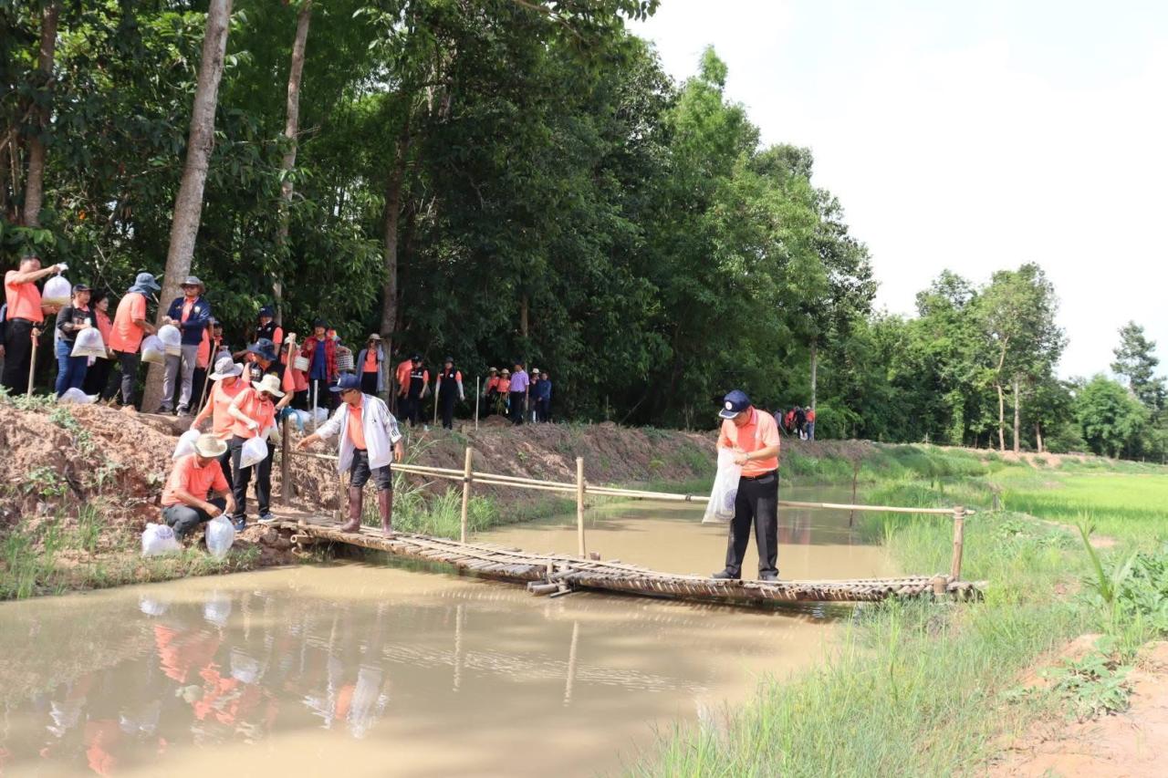 ภาพประกอบที่ 8