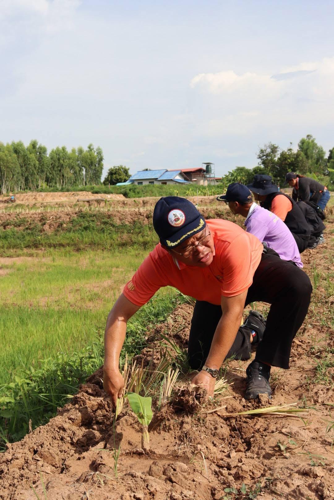 ภาพประกอบที่ 9