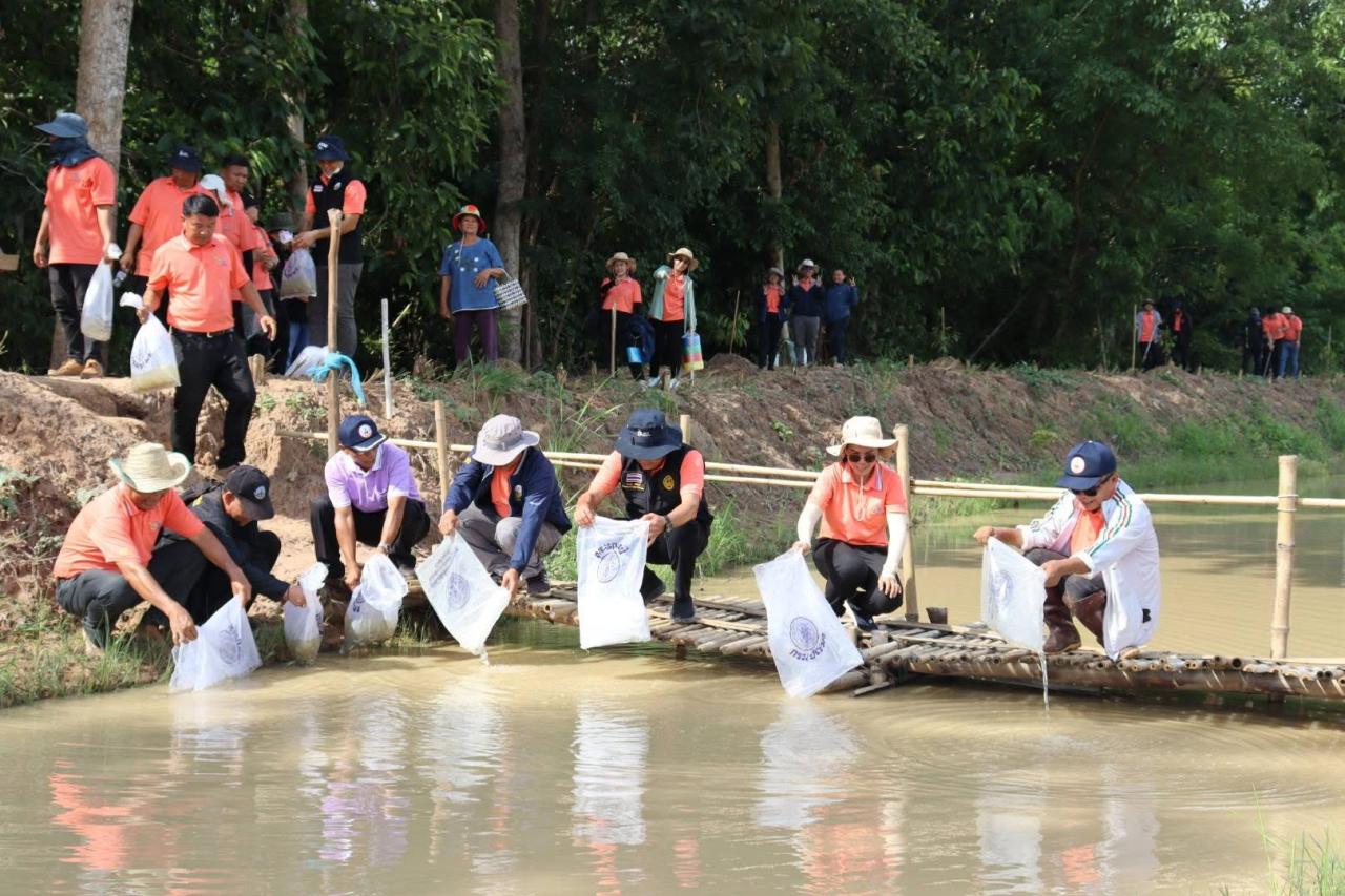 ภาพประกอบที่ 10