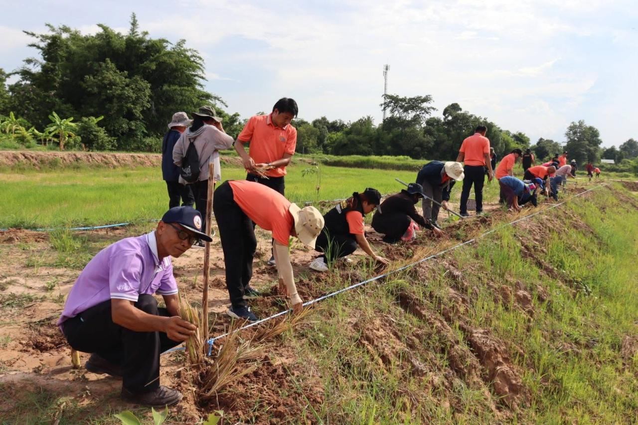 ภาพประกอบที่ 11