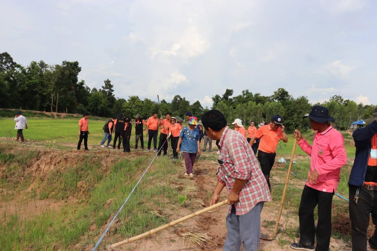 ภาพประกอบที่ 12