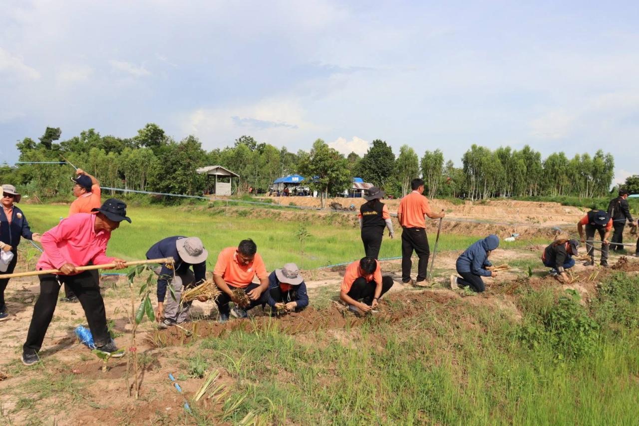 ภาพประกอบที่ 15
