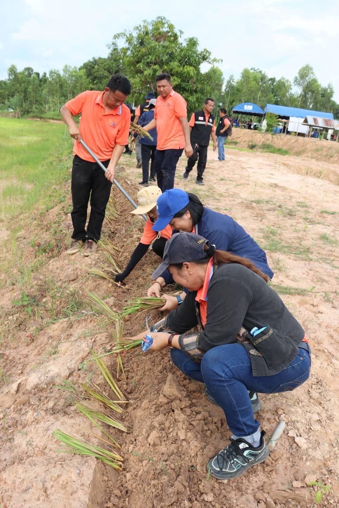 ภาพประกอบที่ 16