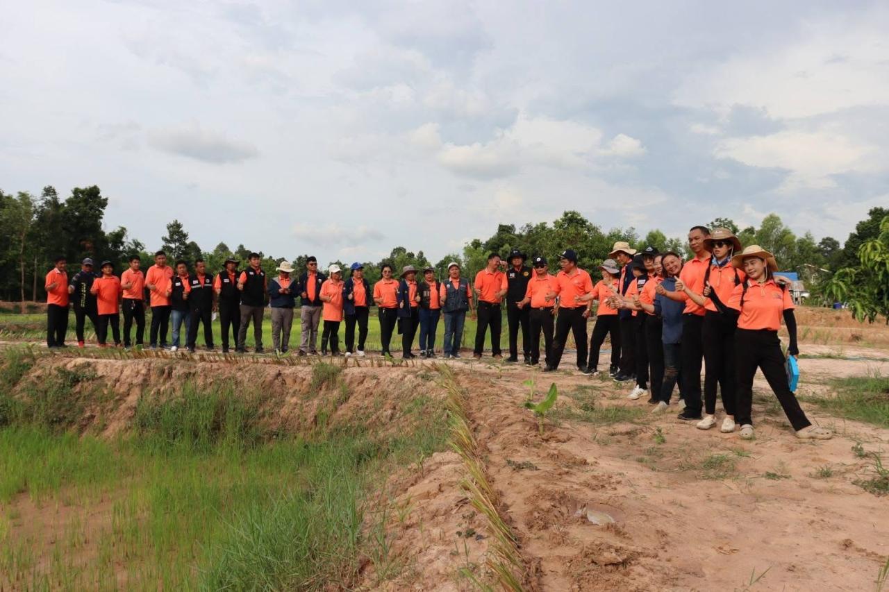 ภาพประกอบที่ 17