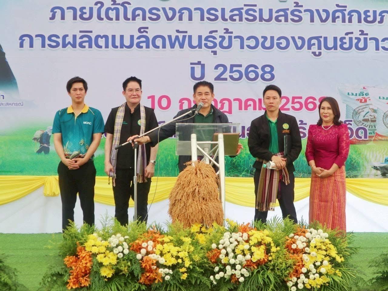 ภาพประกอบที่ 2