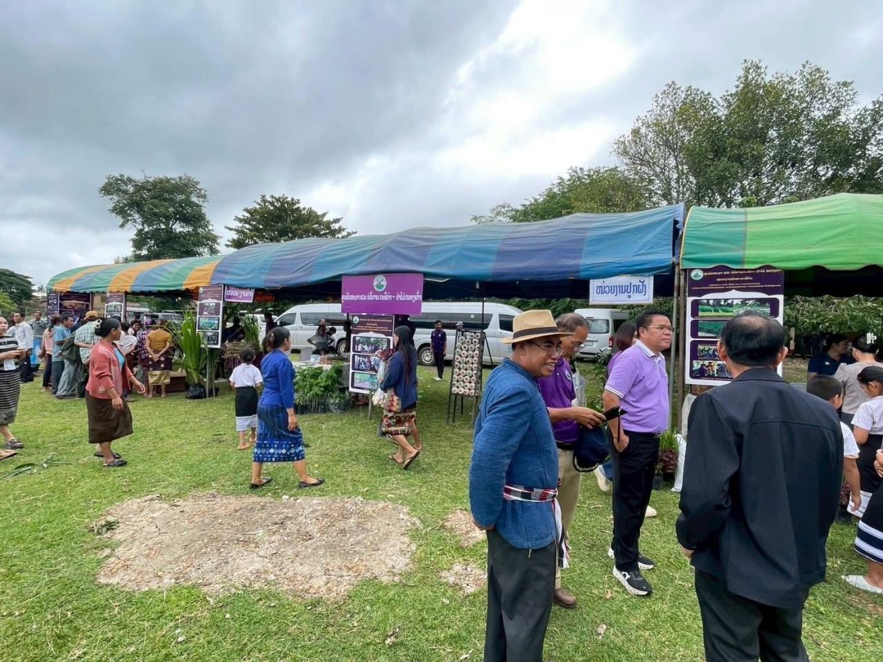 ภาพประกอบที่ 13