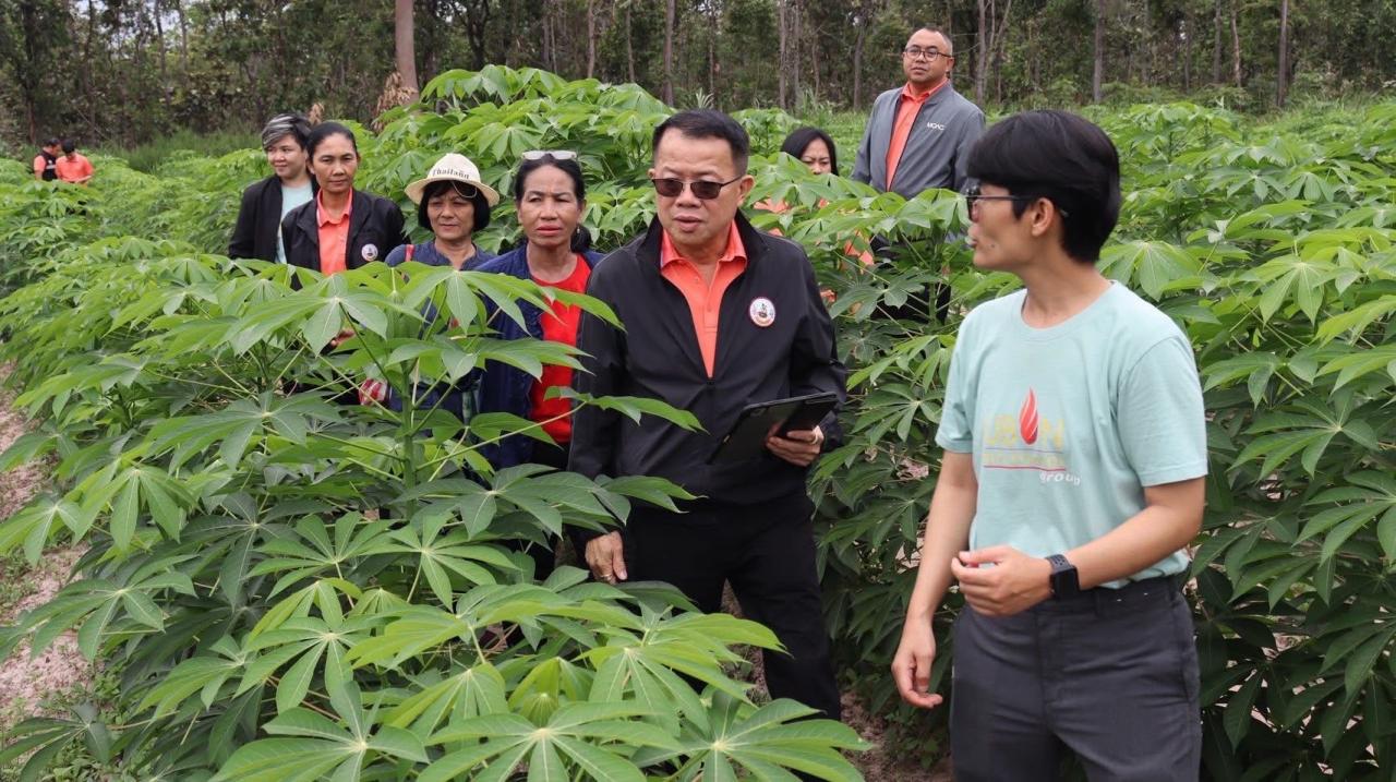 ภาพประกอบที่ 16