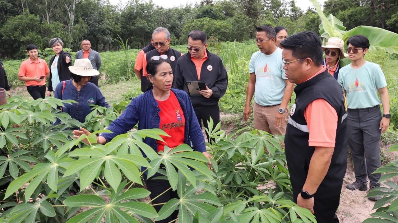 ภาพประกอบที่ 17
