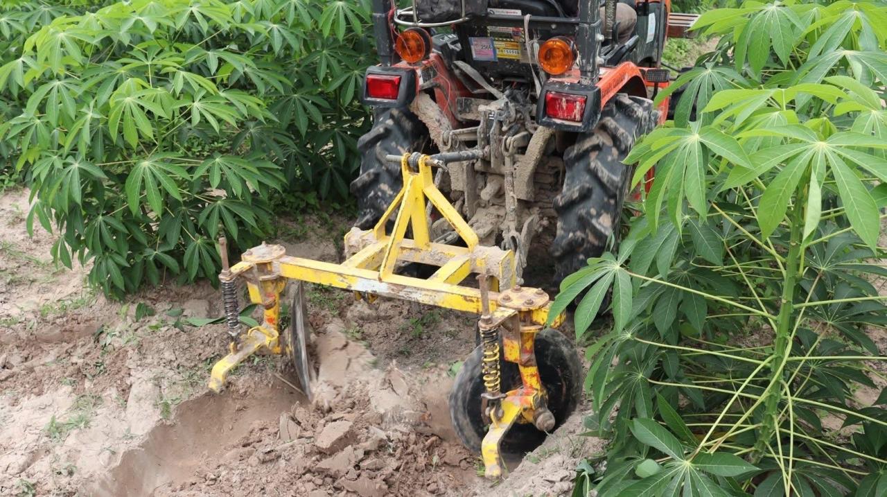 ภาพประกอบที่ 19