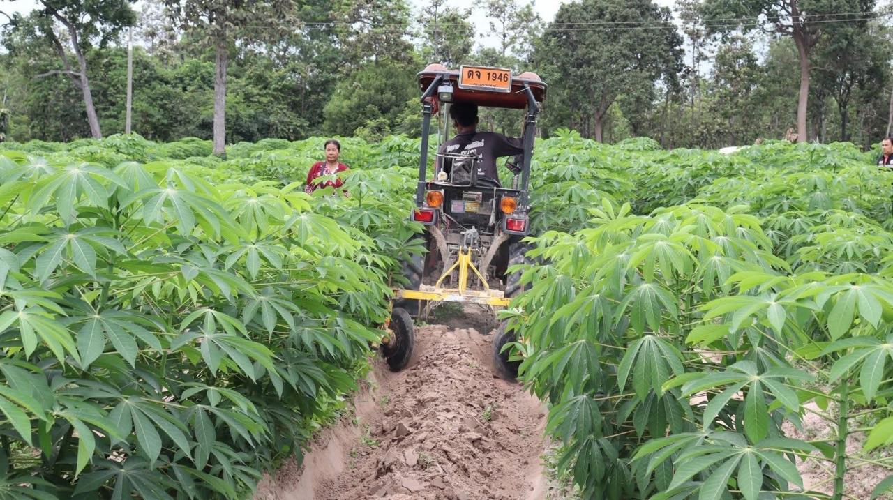 ภาพประกอบที่ 20