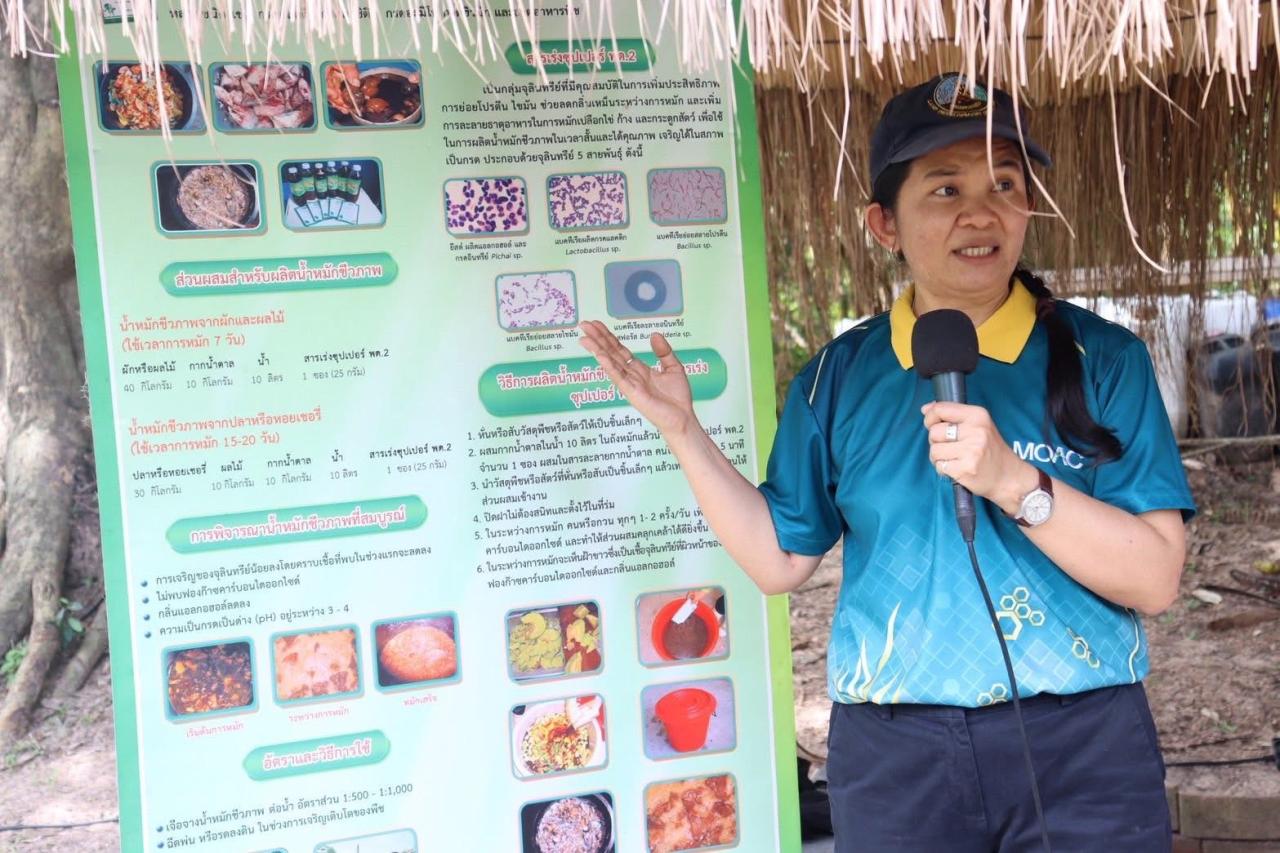 ภาพประกอบที่ 21