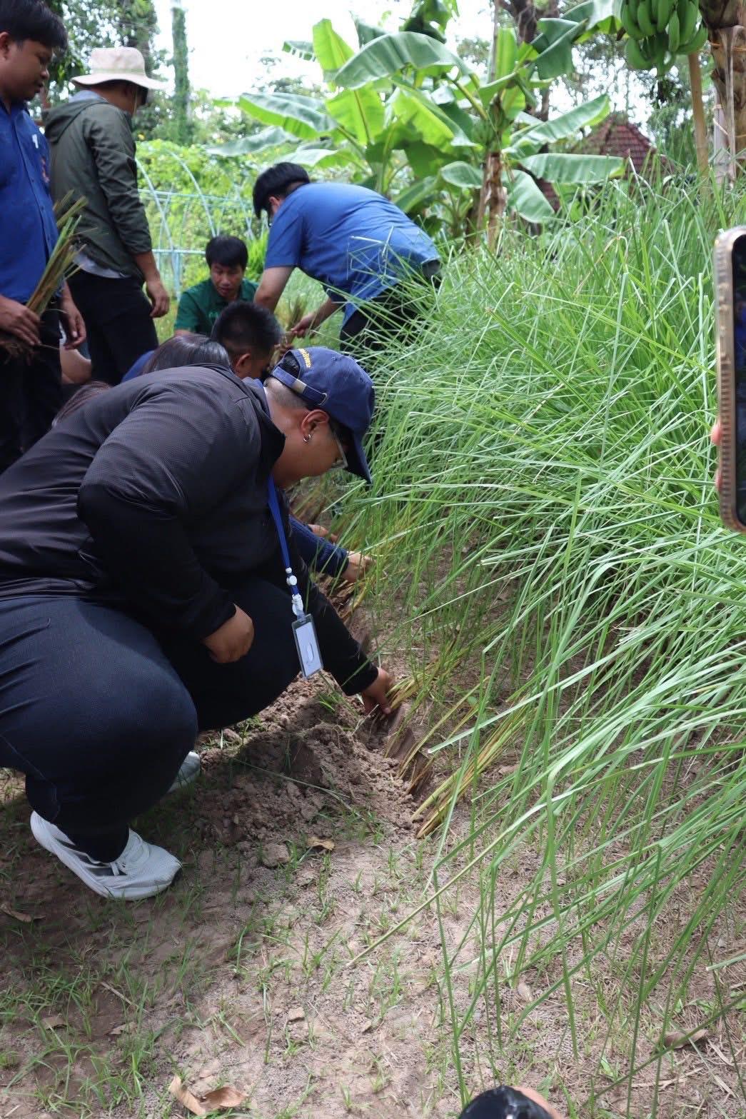 ภาพประกอบที่ 24