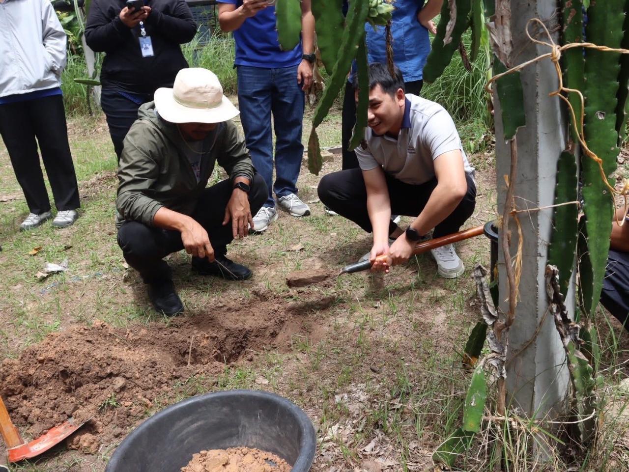 ภาพประกอบที่ 31