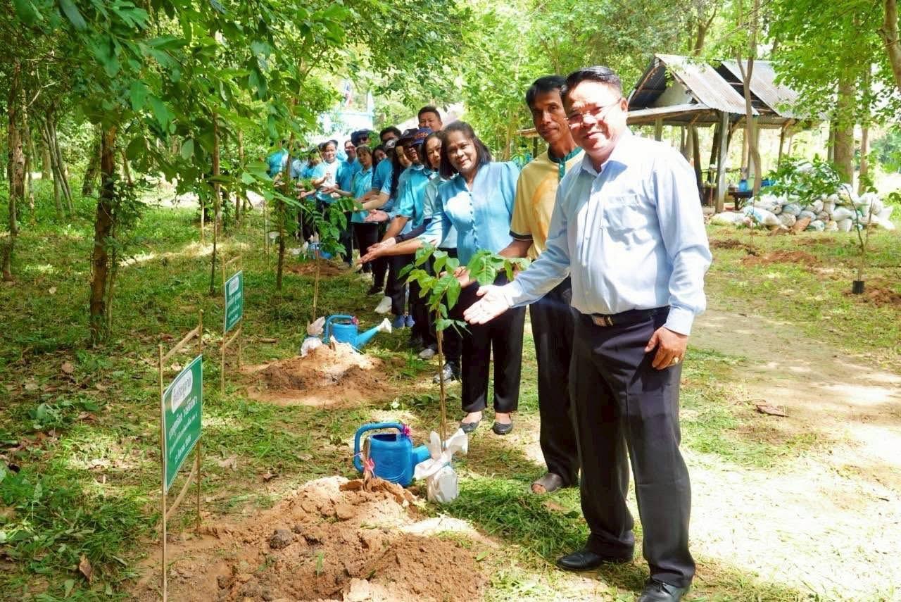 ภาพประกอบที่ 3