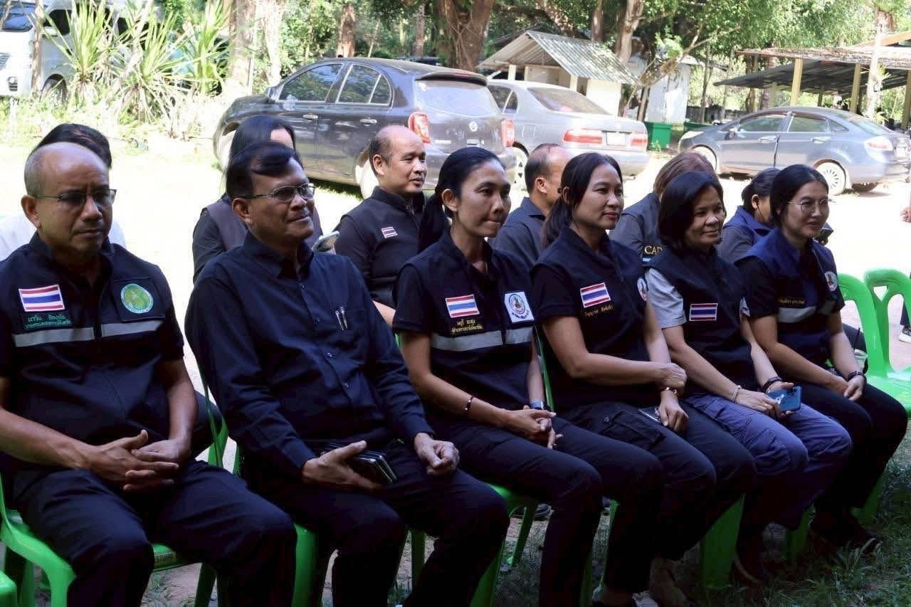 ภาพประกอบที่ 12