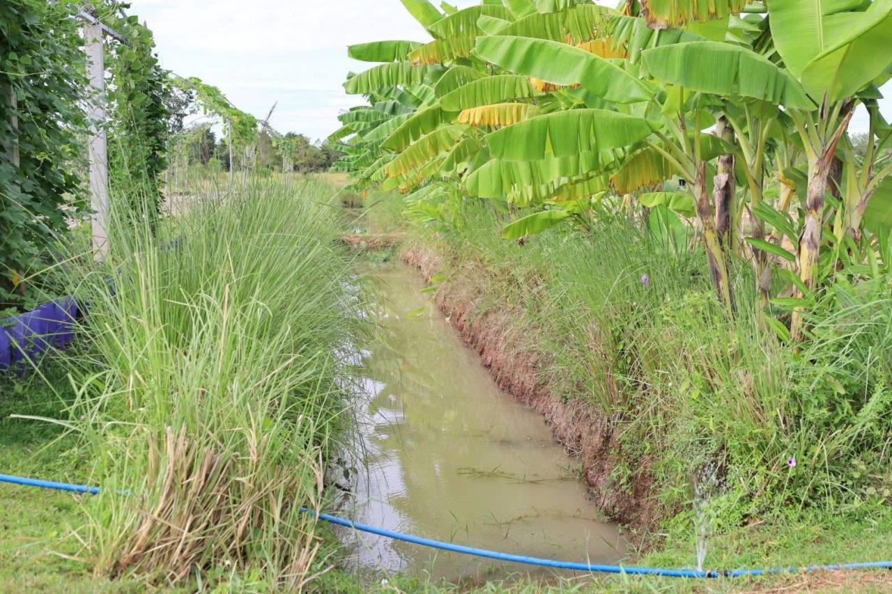 ภาพประกอบที่ 12