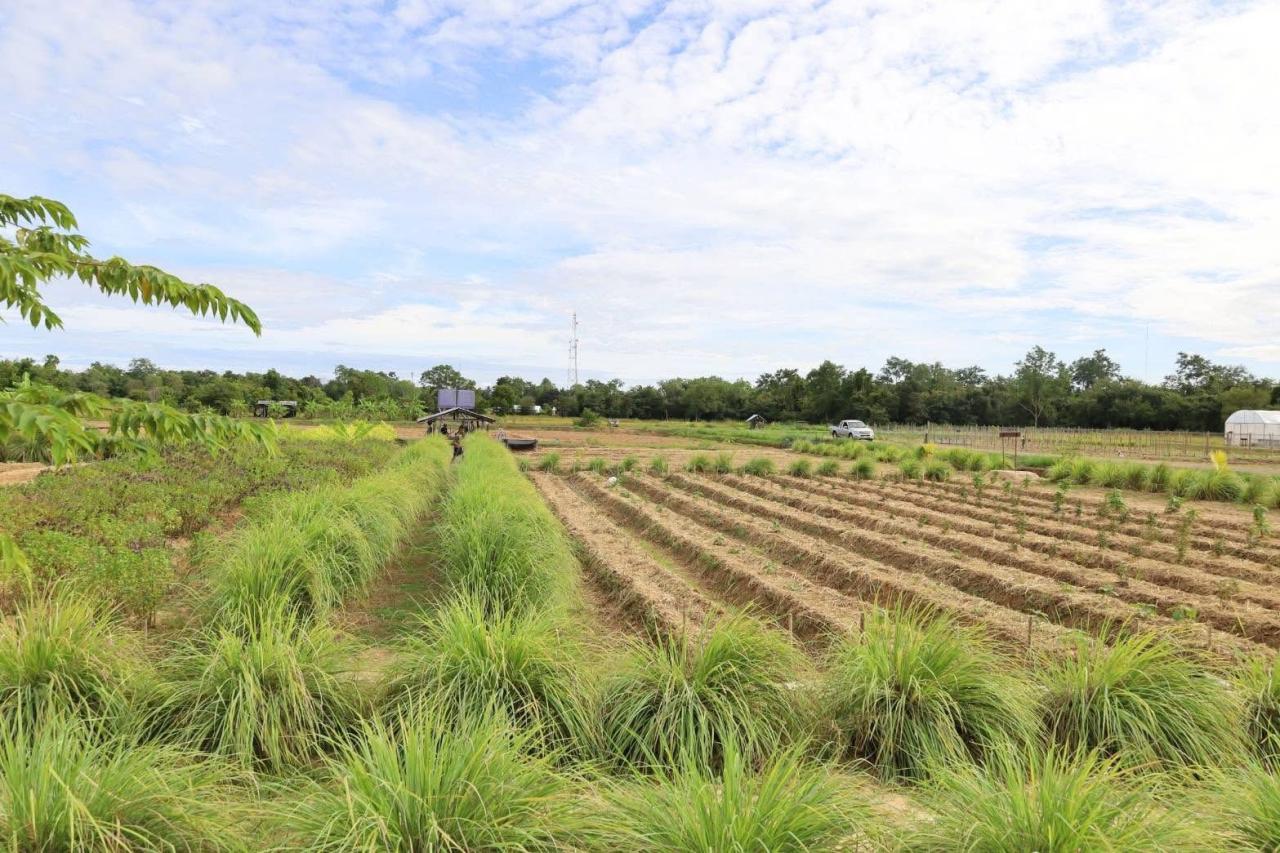 ภาพประกอบที่ 14
