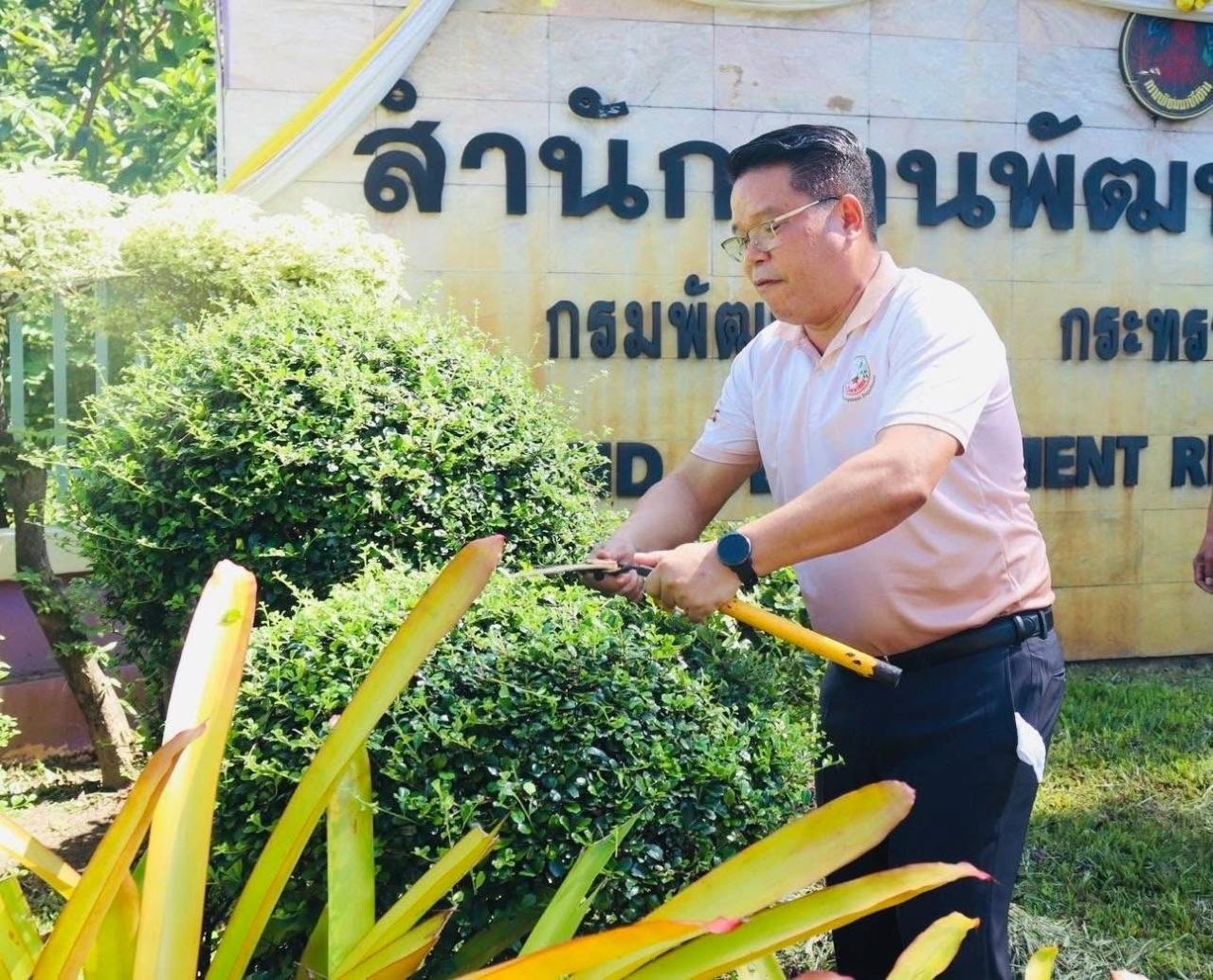 ภาพประกอบที่ 3