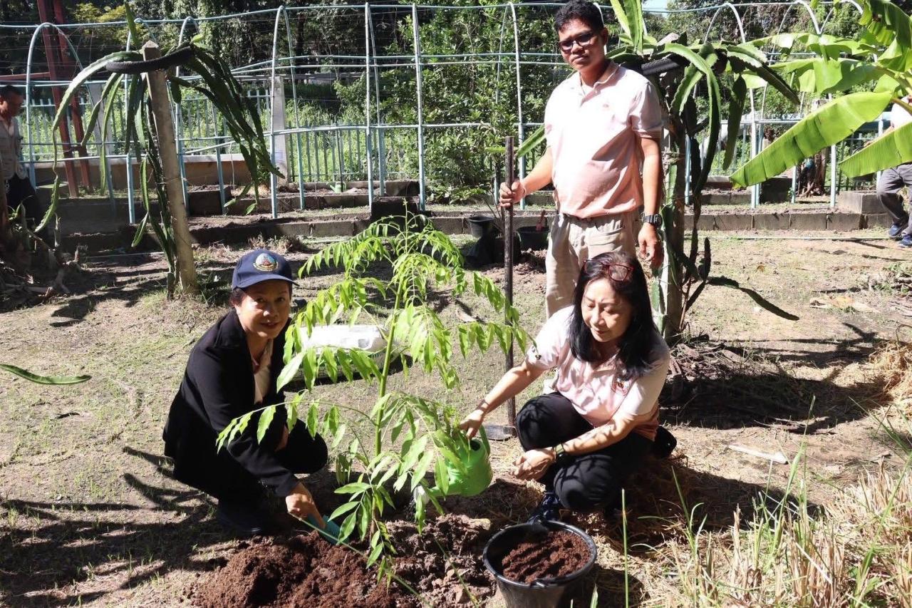 ภาพประกอบที่ 7