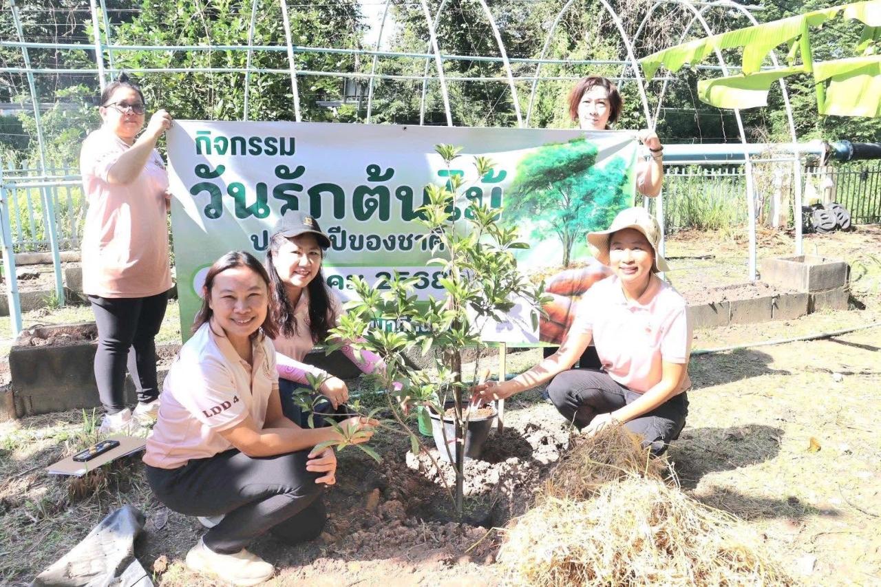 ภาพประกอบที่ 8