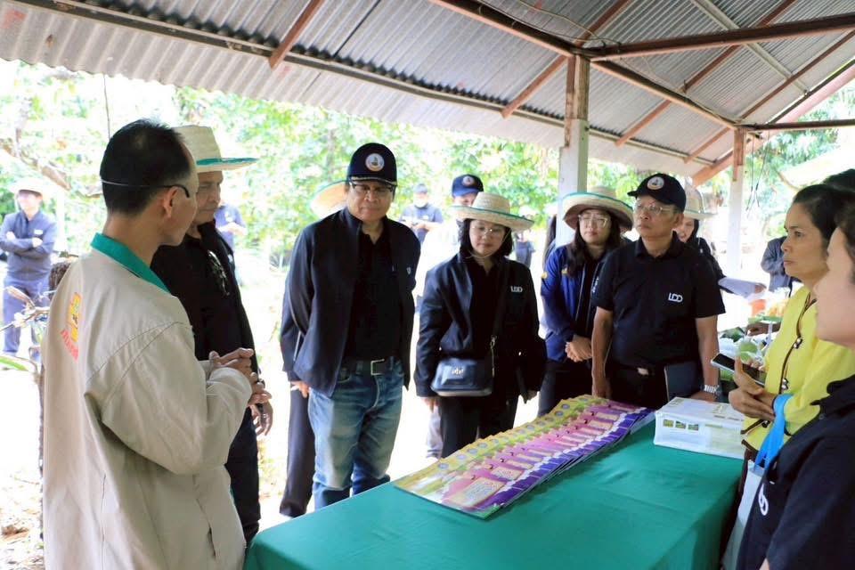 ภาพประกอบที่ 17