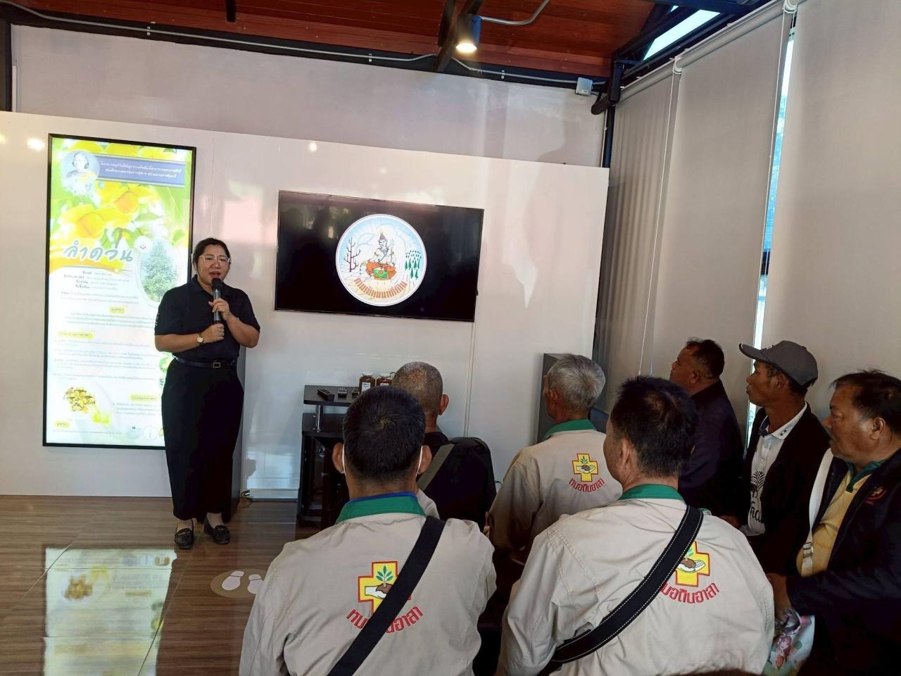 ภาพประกอบที่ 11