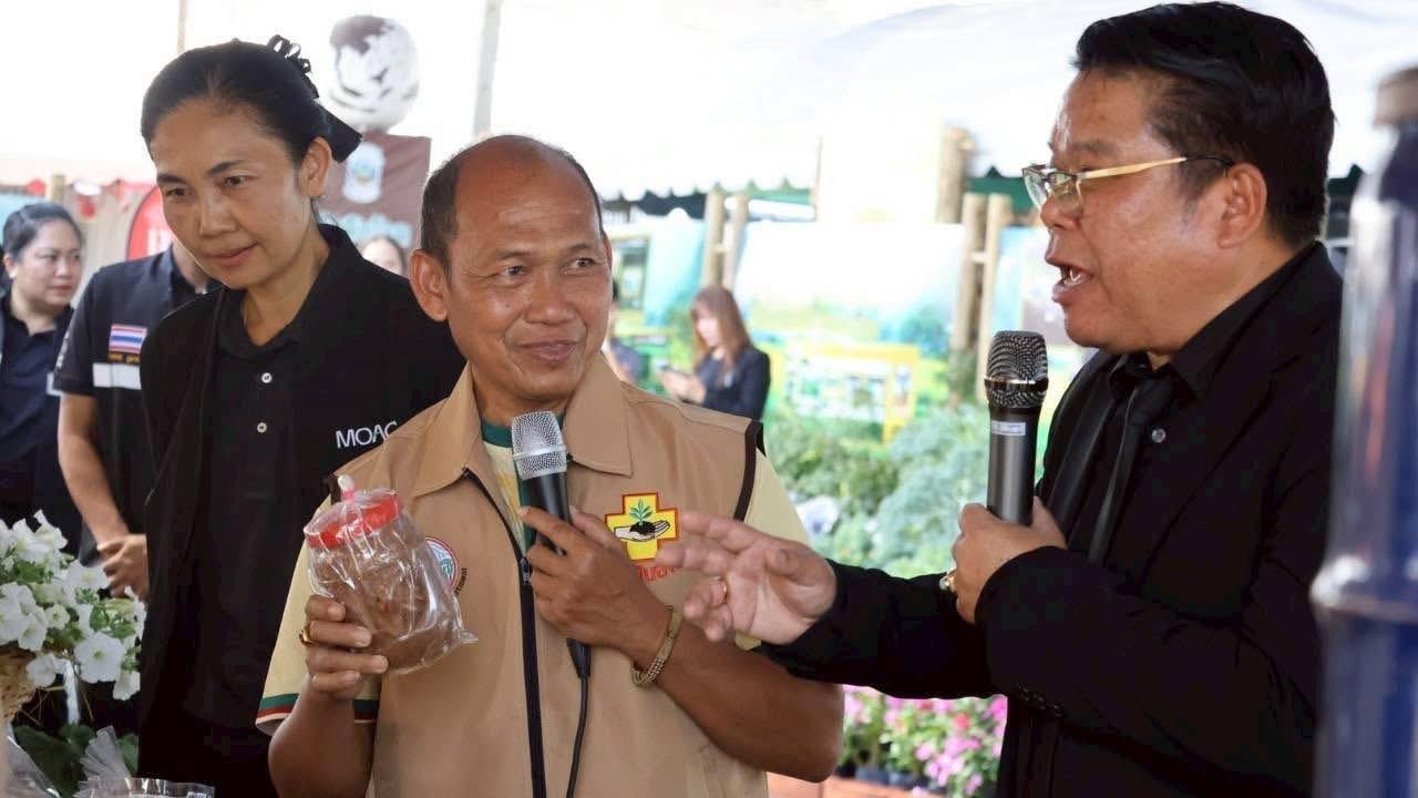 ภาพประกอบที่ 8